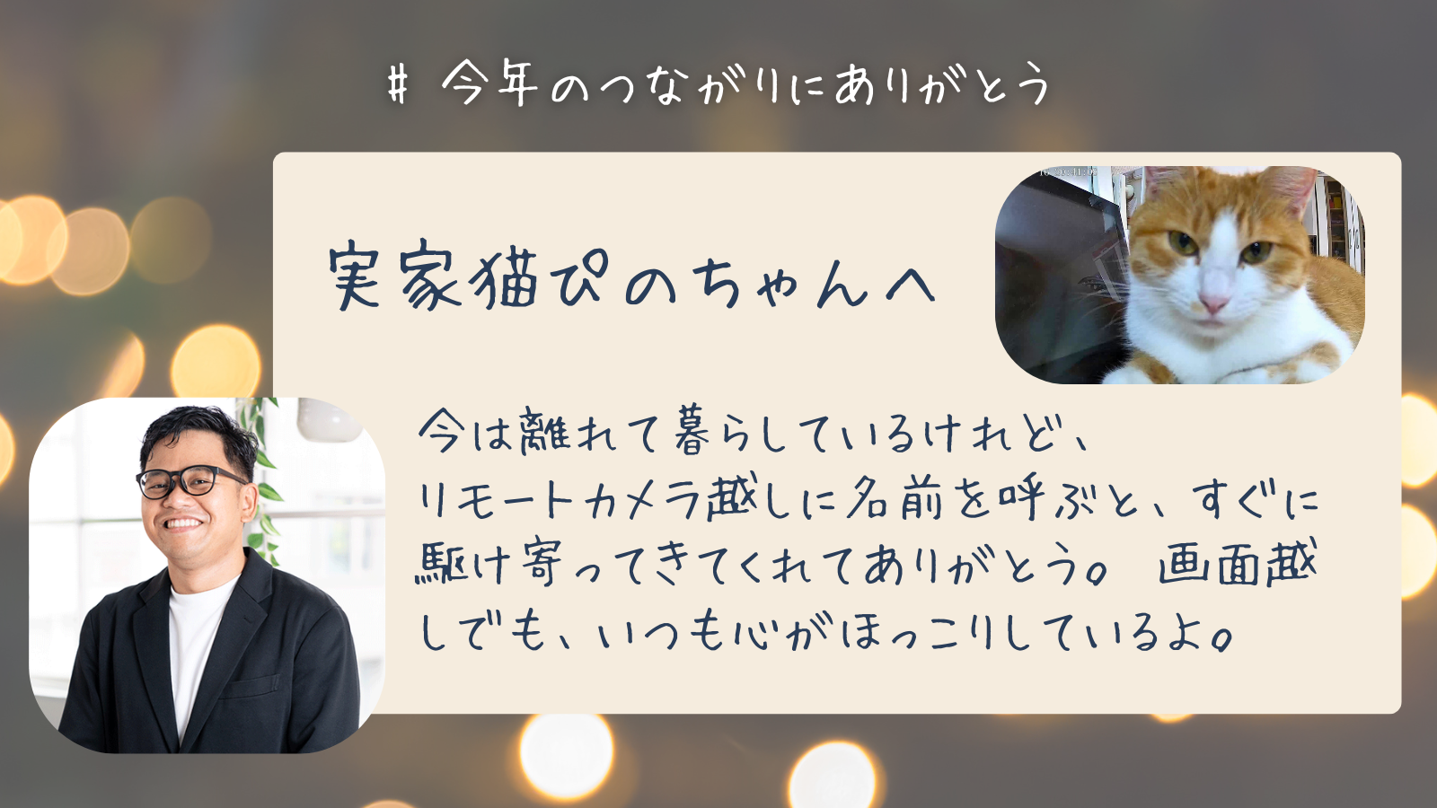 実家猫ぴのちゃんへ　今は離れて暮らしているけれど、 リモートカメラ越しに名前を呼ぶと、すぐに駆け寄ってきてくれてありがとう。 画面越しでも、いつも心がほっこりしているよ。